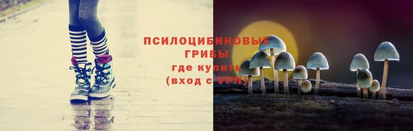 MDMA Лагань