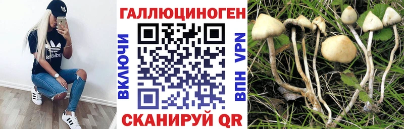 Галлюциногенные грибы Magic Shrooms  купить   Жуковский 