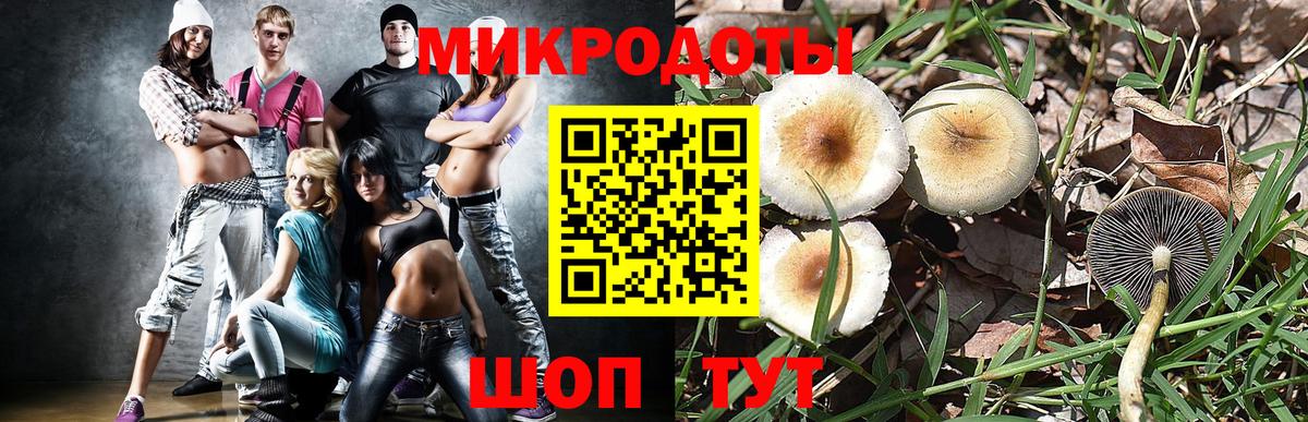 Псилоцибиновые грибы Psilocybe Жуковский