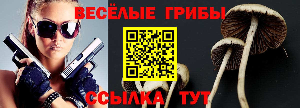 Жуковский  Галлюциногенные грибы MAGIC MUSHROOMS  Вход с VPN 